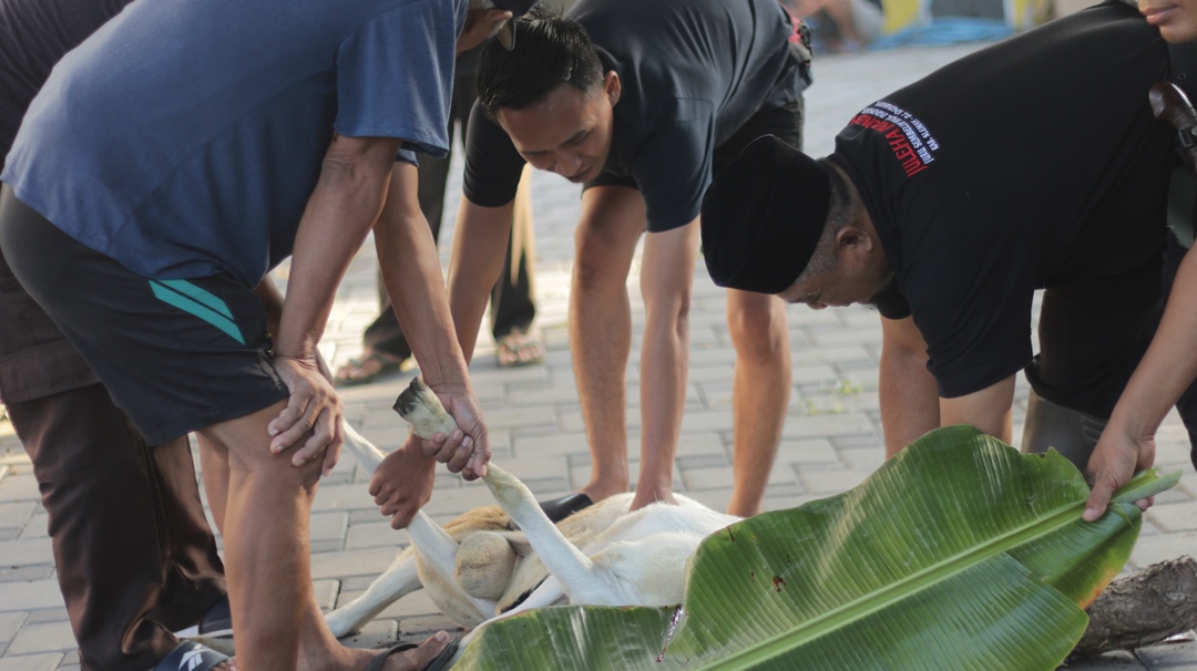 Qurban Bersama, Tumbuh Bersama: Komitmen Perusahaan dan Masyarakat Sekitar dalam Semangat Idul Adha 1447 H