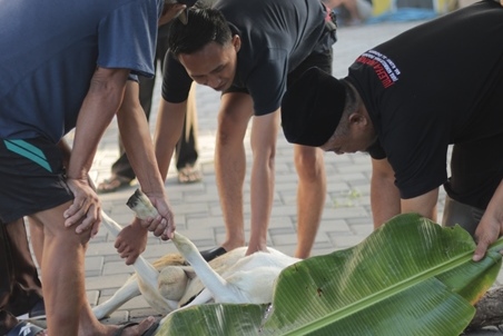 Kegiatan Dwimanunggal Indonesia