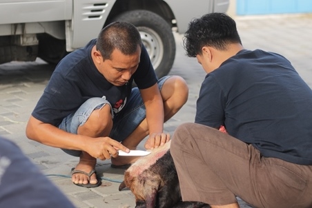 Kegiatan Dwimanunggal Indonesia